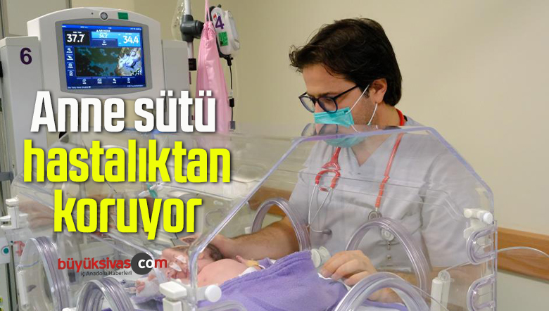 Anne sütü
