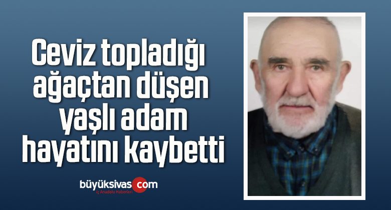 Ceviz topladığı ağaçtan düşen yaşlı adam hayatını kaybetti