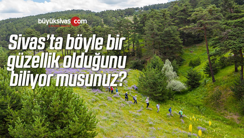Sivas’ın Cezp Eden Ormanları Hayranlık Uyandırıyor