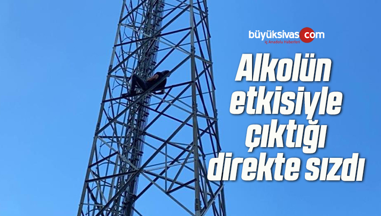Alkolün etkisiyle çıktığı direkte sızdı