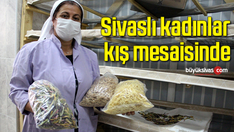 Kadınlar kış mesaisinde, elleriyle tek tek kesiyorlar