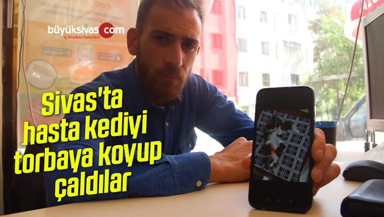 Sivas’ta hasta kediyi torbaya koyup çaldılar