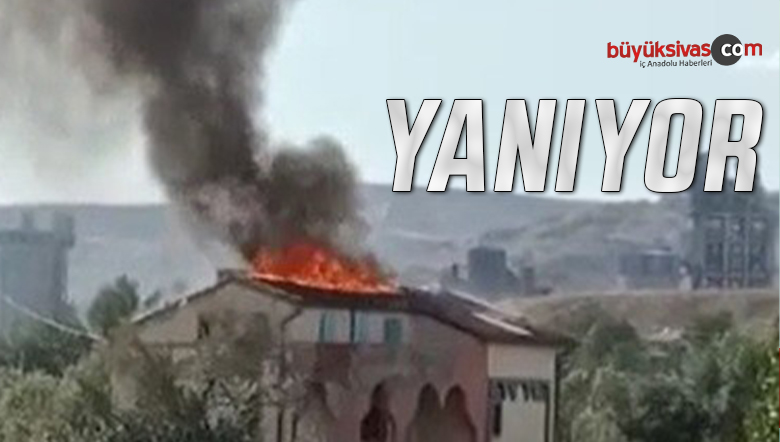 yangı