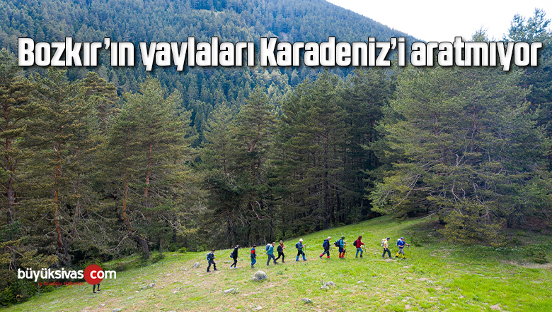 Bozkır’ın yaylaları Karadeniz’i aratmıyor