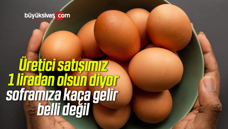 Yumurta fiyatları katlandı: Üreticilerden ‘adet fiyatını 1 lira yapalım’ talebi