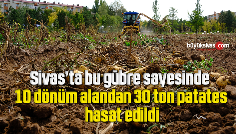 Bu gübre sayesinde 10 dönüm alandan 30 ton patatesi hasat edildi