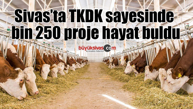 Sivas’ta TKDK sayesinde bin 250 proje hayat buldu