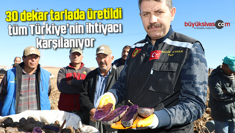 30 dekar tarlada üretildi, tüm Türkiye’nin ihtiyacı karşılanıyor