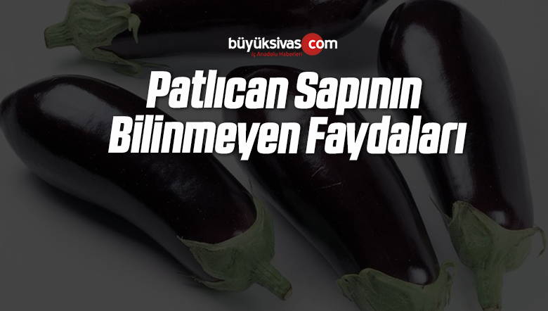 Patlıcan Sapının Bilinmeyen Faydaları