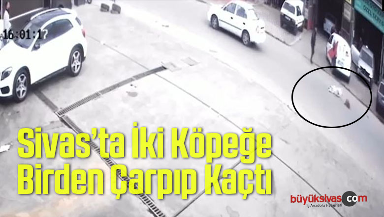 Sivas’ta iki köpeğe birden çarpıp kaçtı