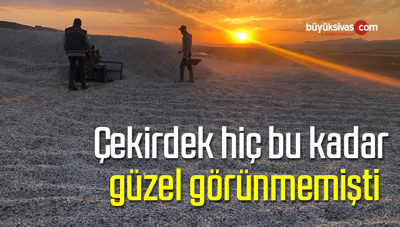 Çekirdek hiç bu kadar güzel görünmemişti