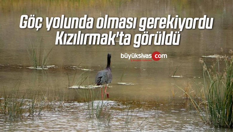 göç yolunda