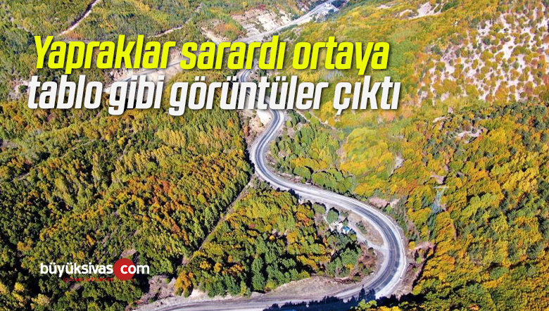 Yapraklar sarardı ortaya tablo gibi görüntüler çıktı