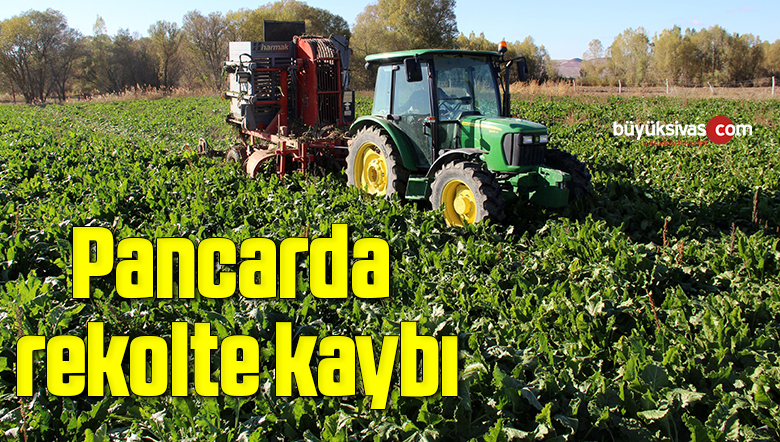 ( HABER: FATMANUR AKKİŞİ )