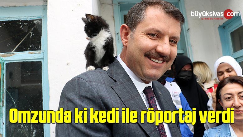 Sivas’ta yüzlerce kediye annelik yapıyor