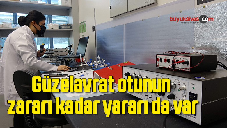 Görsel açıklaması bulunamadı