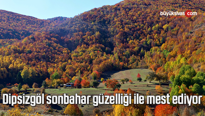sonbahar