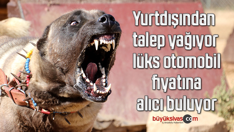 Yurtdışından talep yağıyor, lüks otomobil fiyatına alıcı buluyor