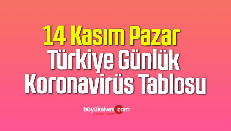 14 kasım