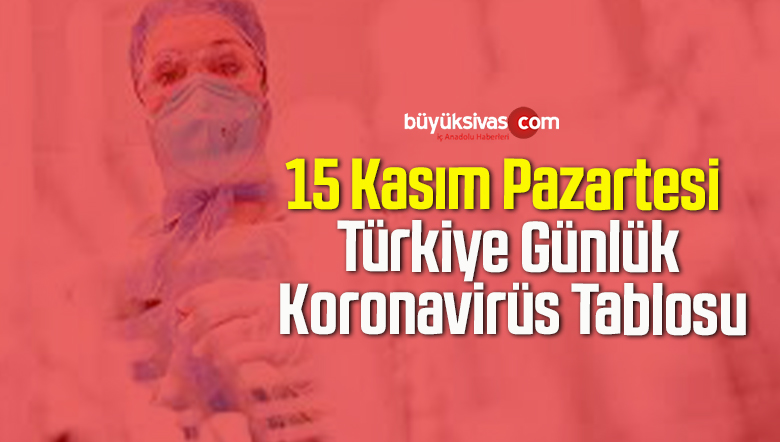 15 Kasım Pazartesi Türkiye Günlük Koronavirüs Tablosu