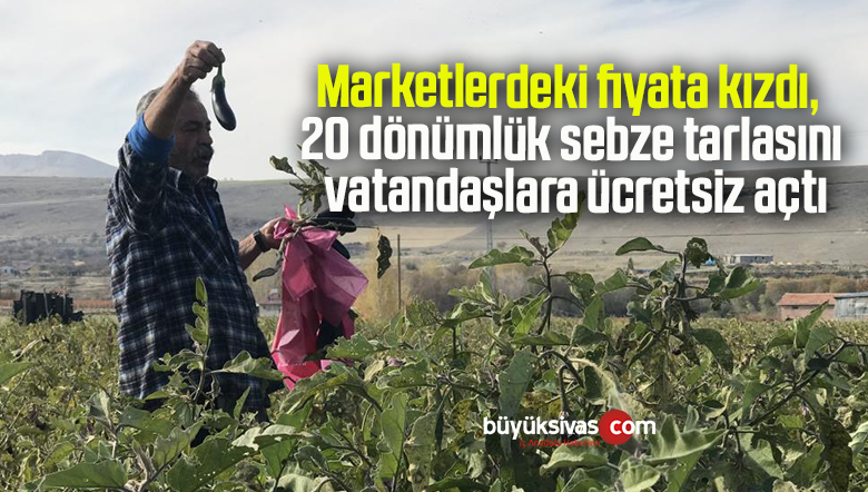 Marketlerdeki fiyata kızdı, 20 dönümlük sebze tarlasını vatandaşlara ücretsiz açtı