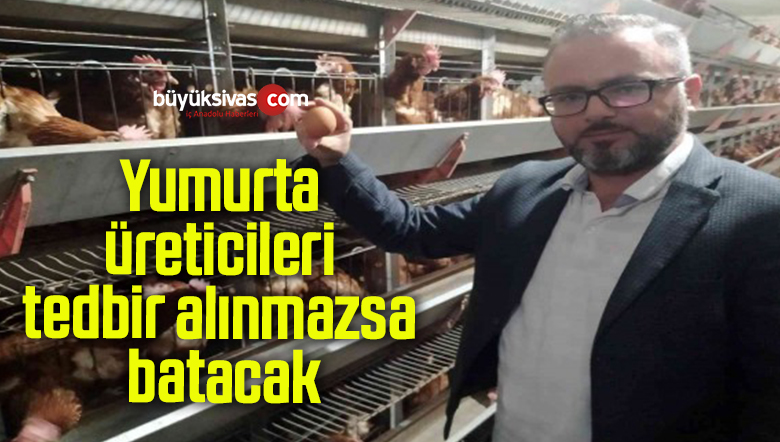 Yumurta üreticileri tedbir alınmazsa batacak