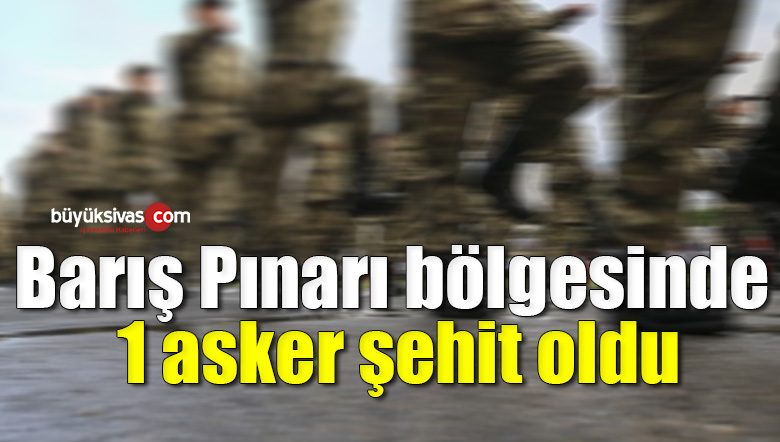 Barış Pınarı bölgesinde 1 asker şehit oldu