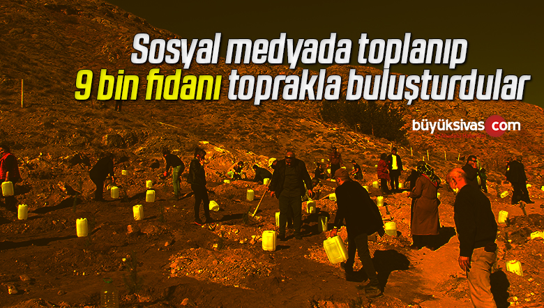 Sosyal medyada toplanıp 9 bin fidanı toprakla buluşturdular