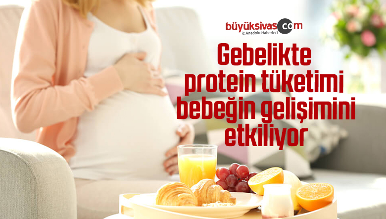 Gebelikte protein tüketimi bebeğin gelişimini etkiliyor