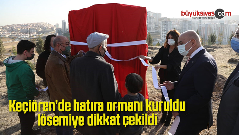 ağaçlandırma alanında