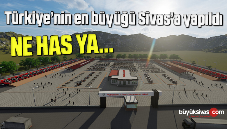 hayvan