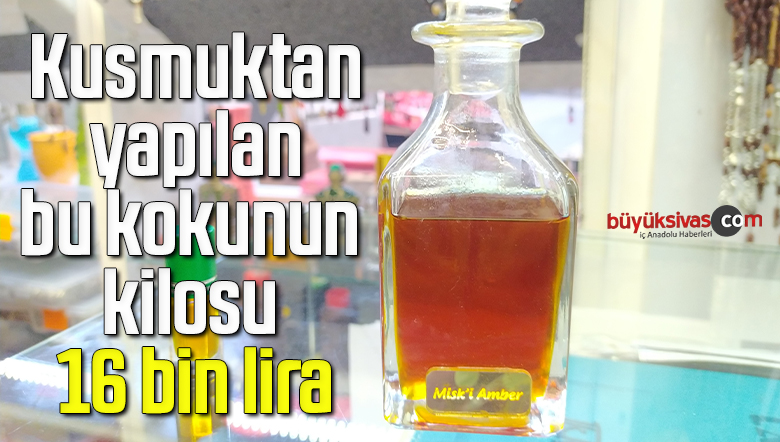 Balinanın kusmuğundan yapılan bu kokunun kilosu 16 bin lira