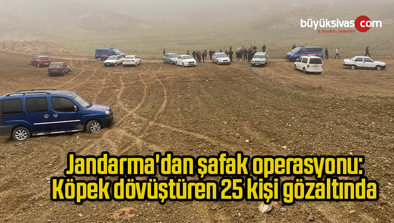 Köpek dövüştüren