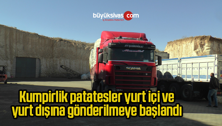 Kumpirlik patatesler yurt içi ve yurt dışına gönderilmeye başlandı