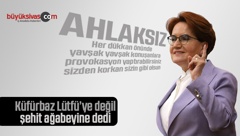 Meral Akşener, şehit ağabeyine ‘ahlaksız’ dedi