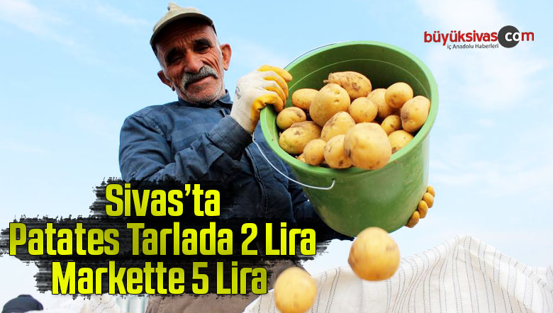 Sivas’ta hasatta son günler, tarlada 2 markette 5 lira