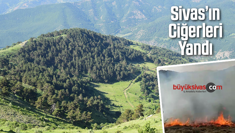 Sivas’ta avcılar ateş yaktı ama iyi söndürmedi! Sonuç böyle