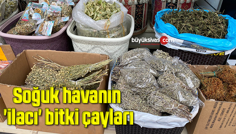 Görsel açıklaması bulunamadı