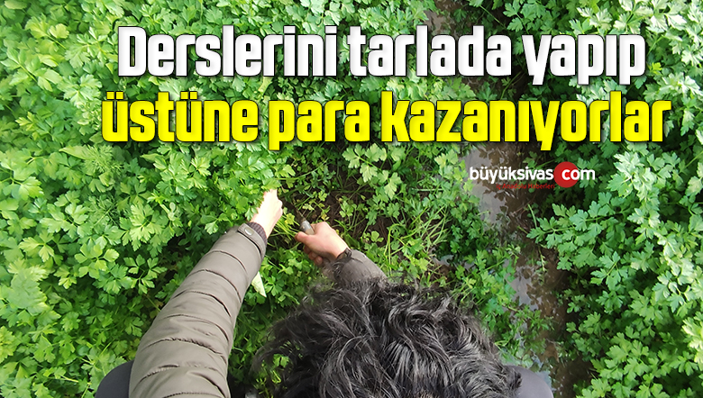 Görsel açıklaması bulunamadı