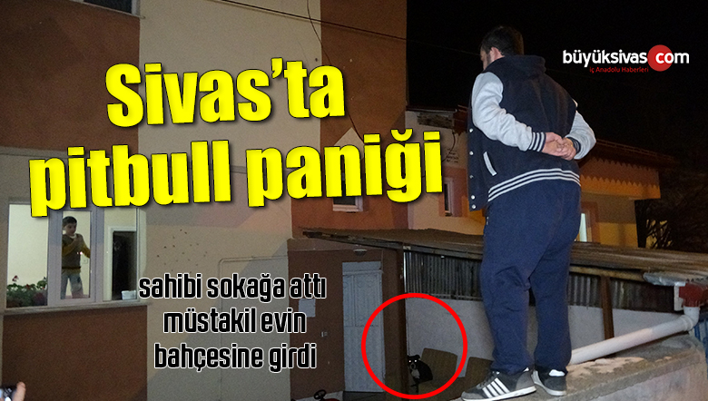 Görsel açıklaması bulunamadı