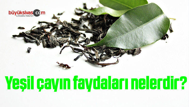 Görsel açıklaması bulunamadı