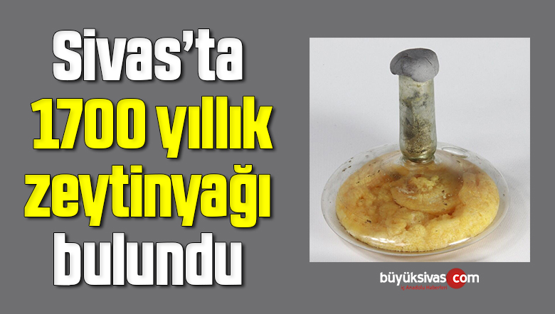 1700 yıllık zeytinyağı bulundu