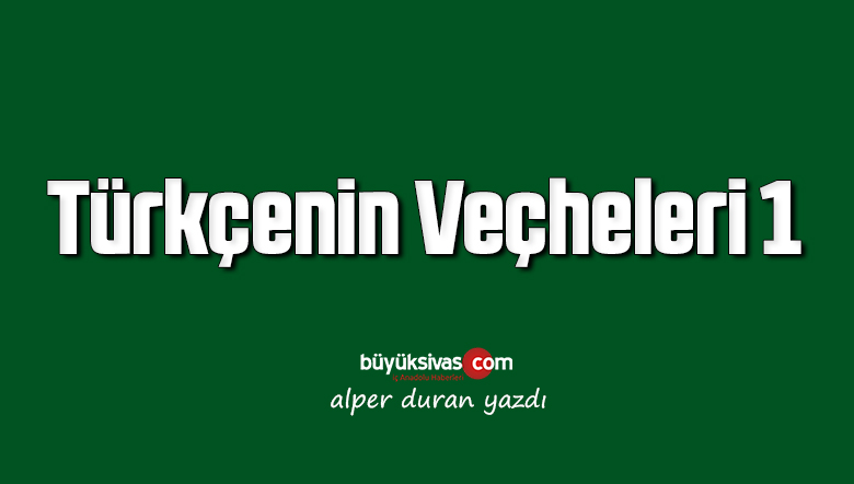 Türkçenin Veçheleri 1