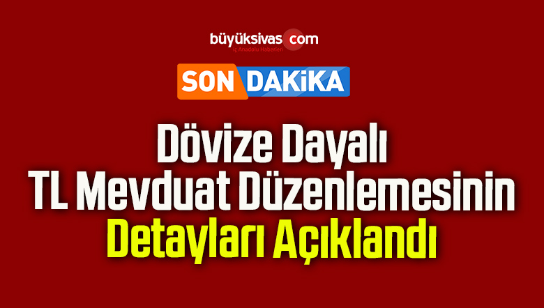 Dövize Dayalı TL Mevduat Düzenlemesinin Detayları Açıklandı