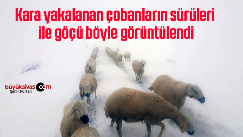 çoban