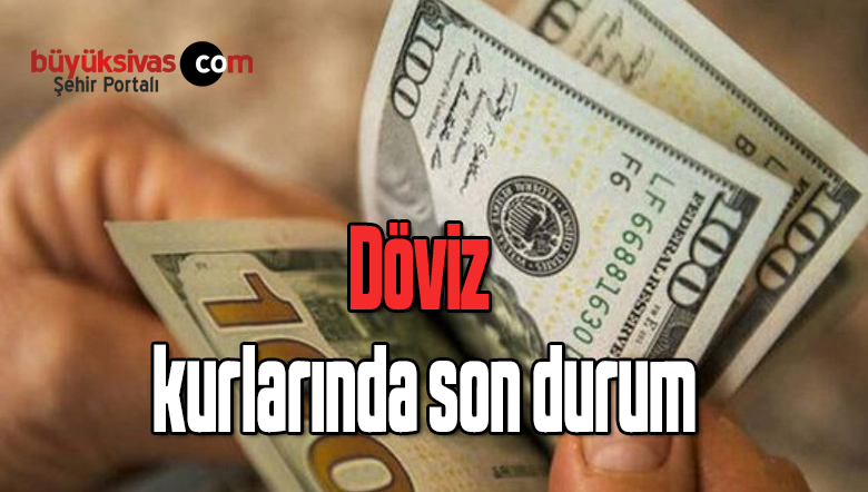 döviz