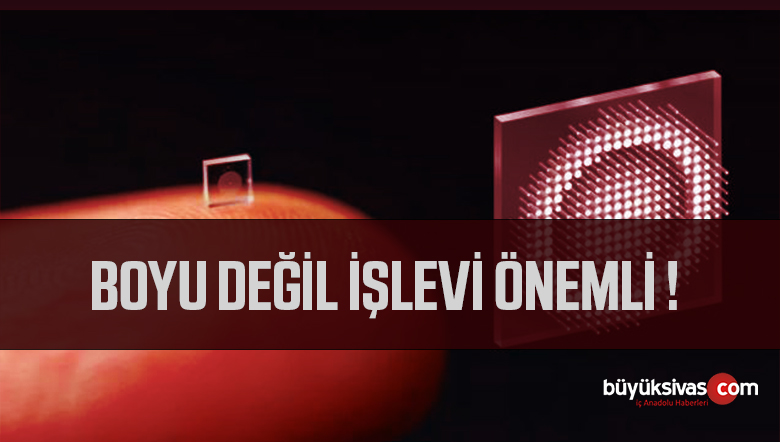 Boyu Değil İşlevi Önemli !