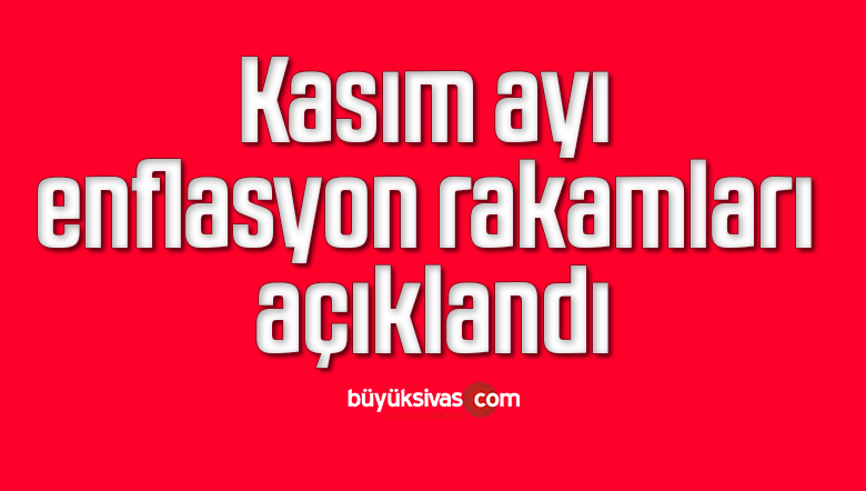 Kasım ayı enflasyon rakamları açıklandı