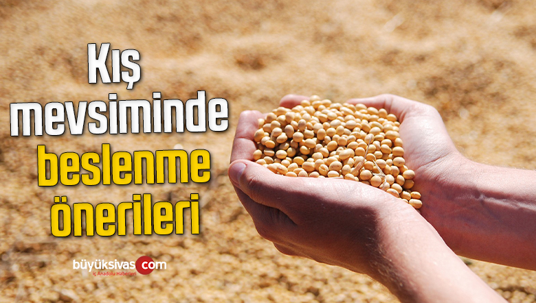 Kış mevsiminde beslenme önerileri