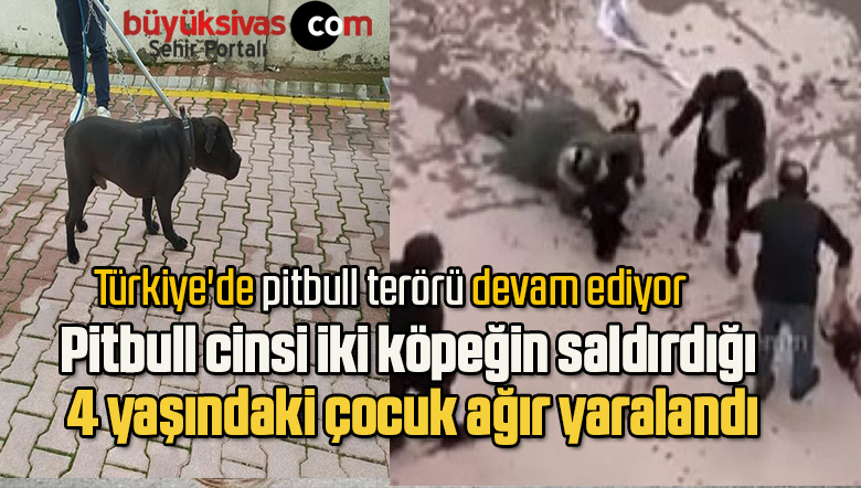 Pitbull cinsi iki köpeğin saldırdığı 4 yaşındaki çocuk ağır yaralandı
